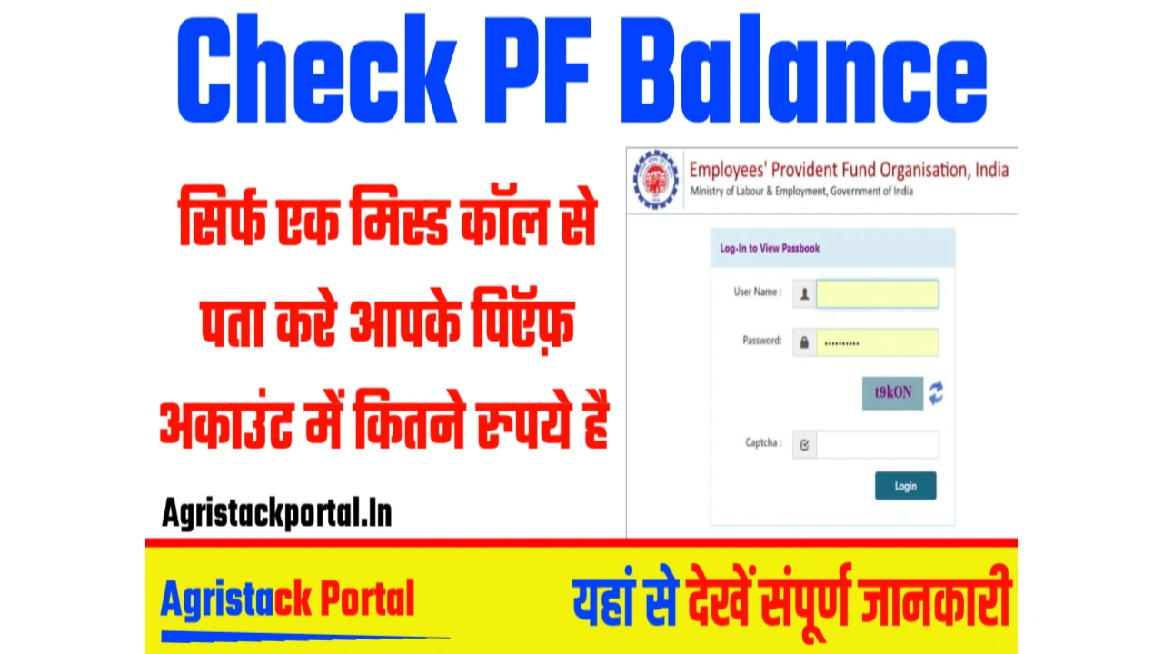 Check PF Balance